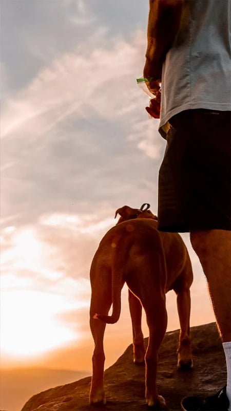 Walking with Dog - Yiran Sportslife