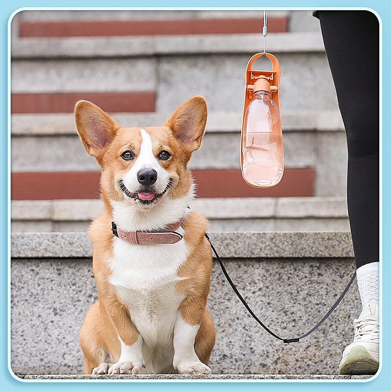 550ml Foldable Dog Water Bottle Main| Yiran Sportslife